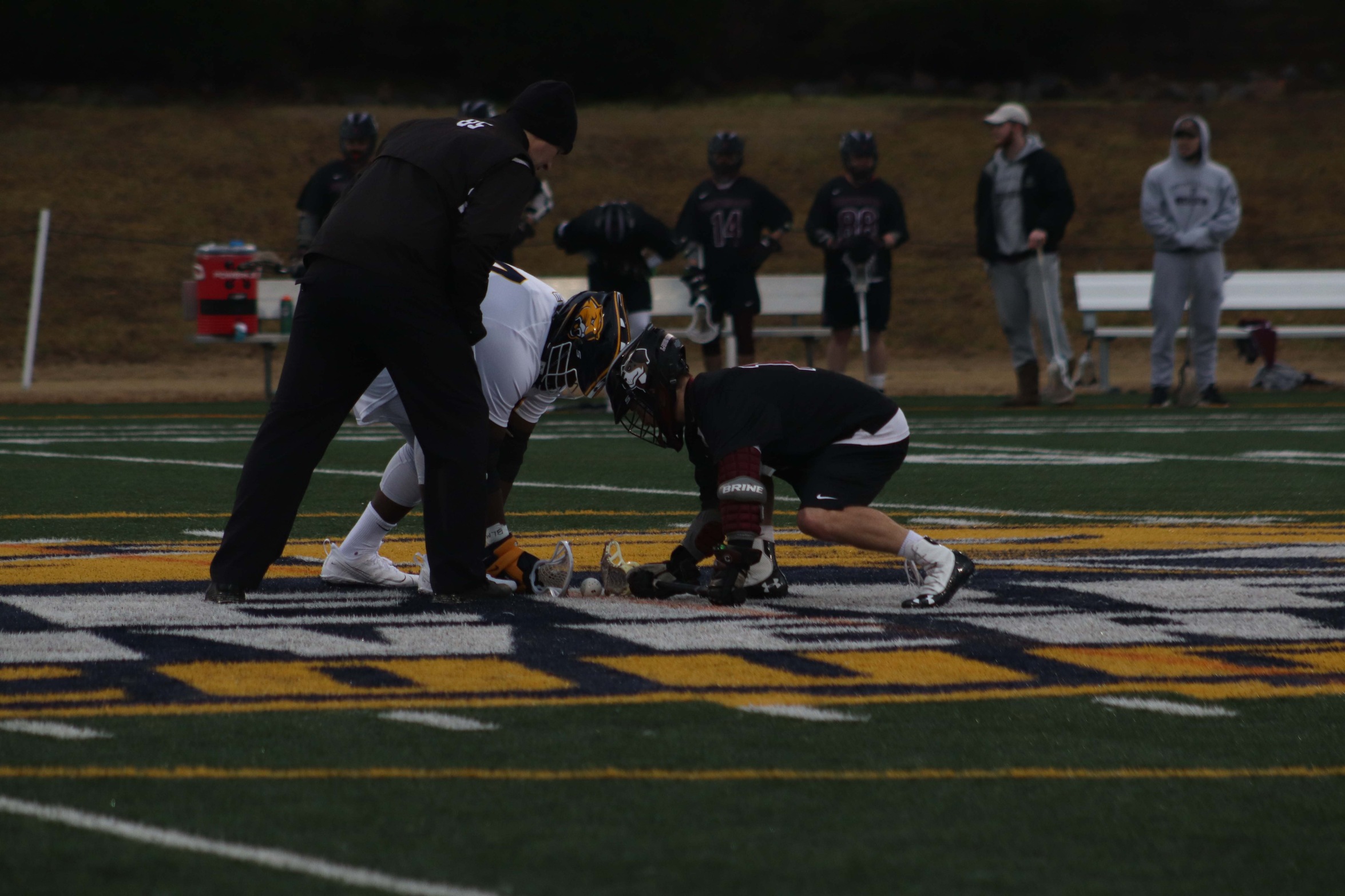 Lacrosse Falls in Hard-Fought Match at Averett on Monday