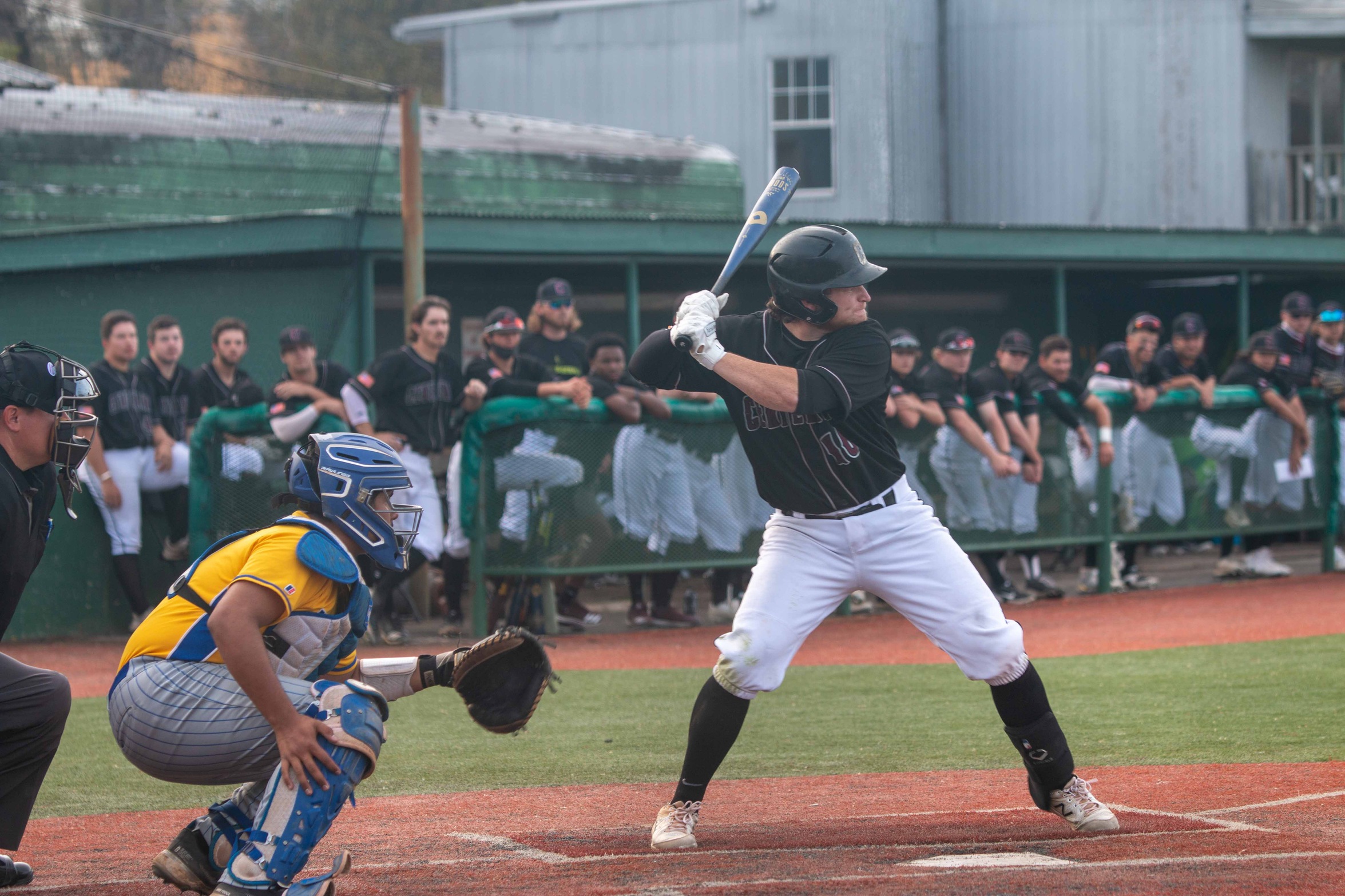 #19 Baseball Wins 12th-straight Game; Edges Schreiner 5-4 at Home on Friday Night