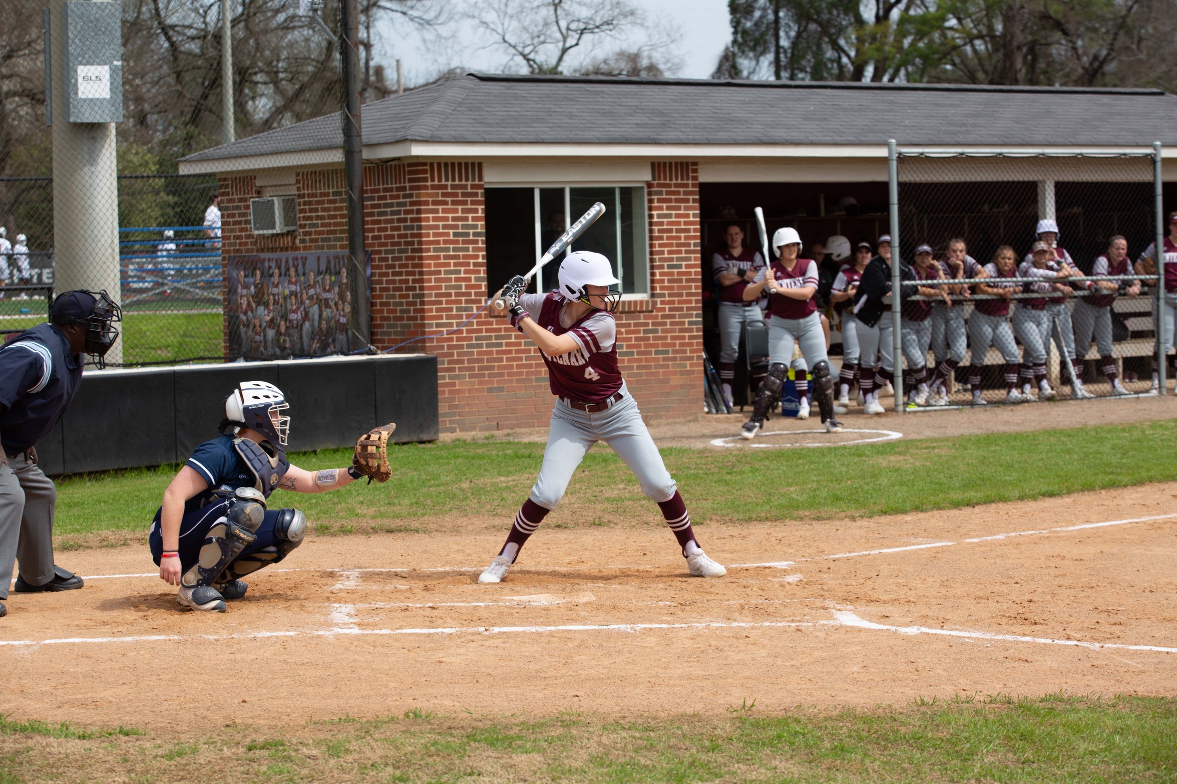 Softball Sweeps Austin College on Saturday in Home Opener