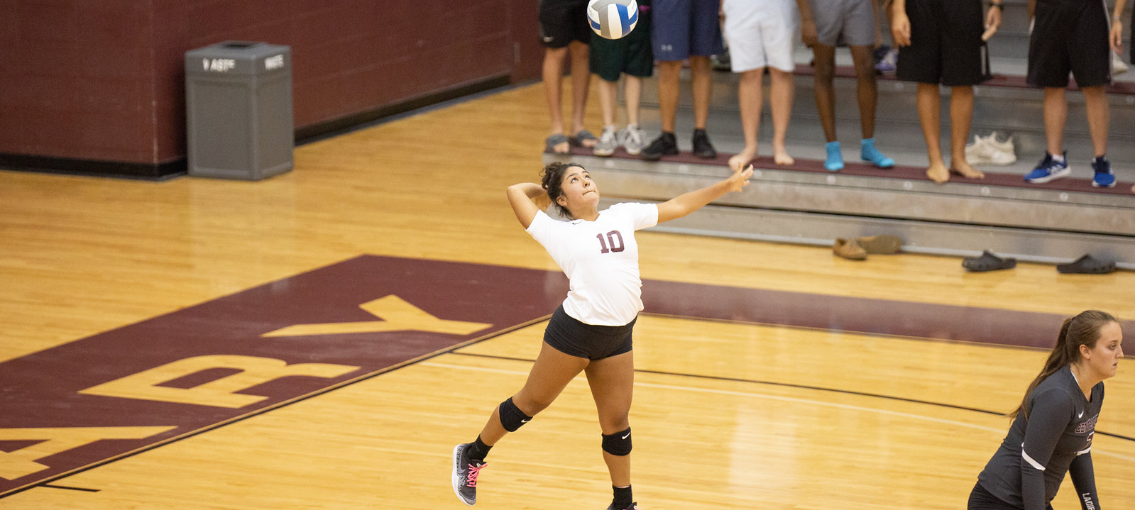 Volleyball's Marissa Sandoval Sets School Record for Digs