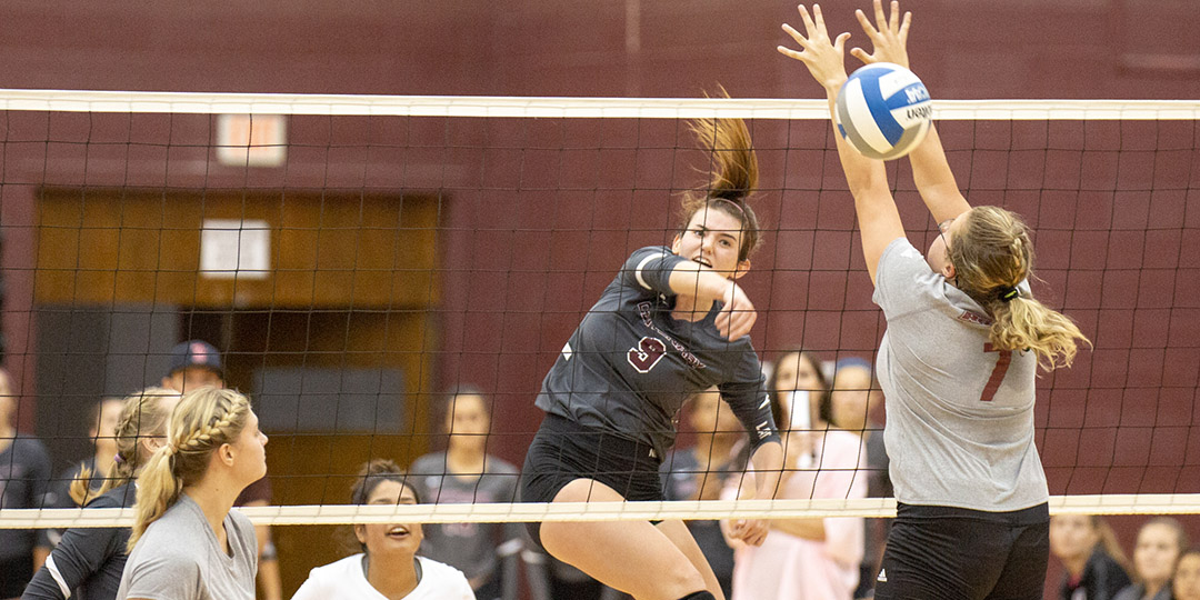 Volleyball Splits SCAC DH at Home Versus Dallas